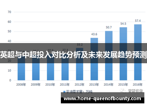 英超与中超投入对比分析及未来发展趋势预测