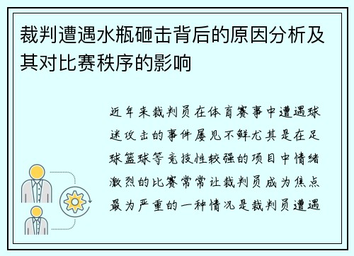 裁判遭遇水瓶砸击背后的原因分析及其对比赛秩序的影响
