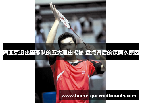 陶菲克退出国家队的五大理由揭秘 盘点背后的深层次原因